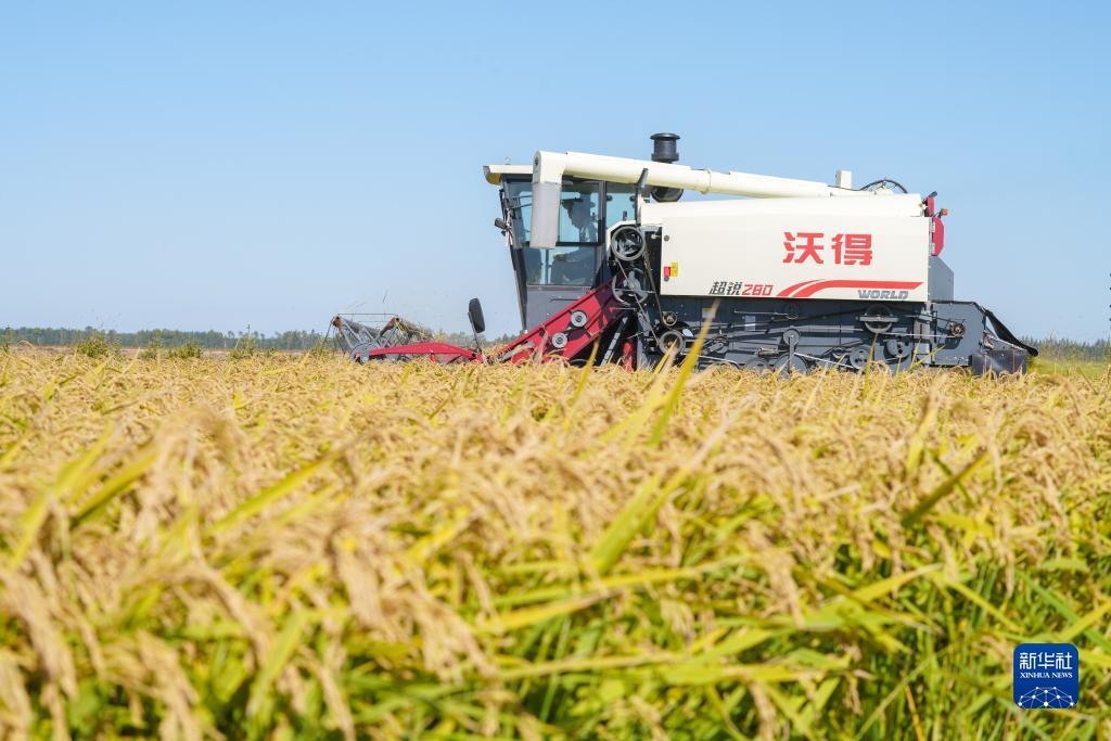 腾达娱乐